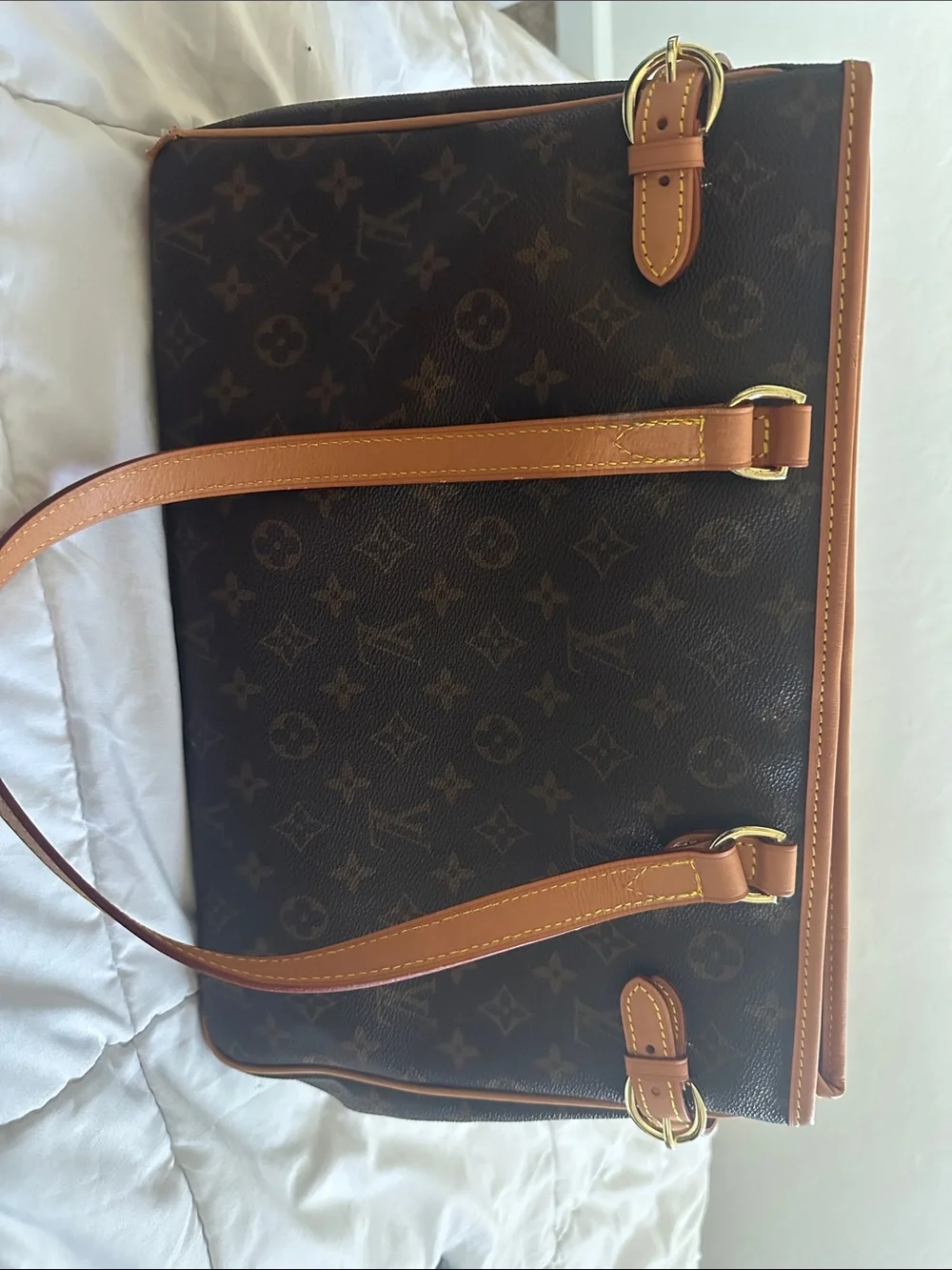 Classic Brown Leather LV Bag